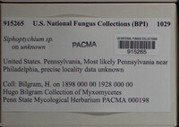 Image Associated With the Occurence